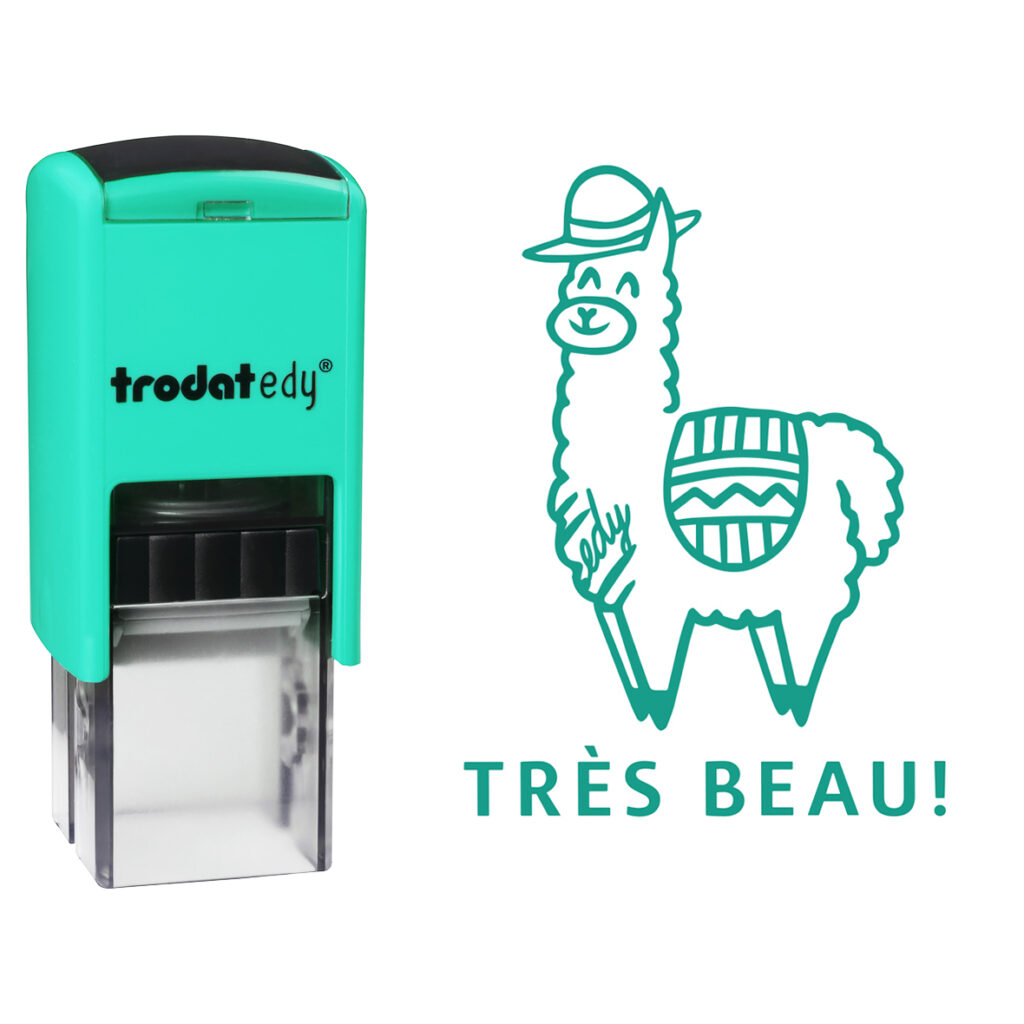 HANKO Stempel & Gravur - Tampon pour enseignants - Trodat edy - Très beau!